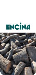 Encina