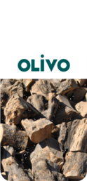 Olivo